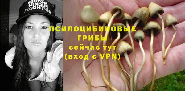мет Абинск