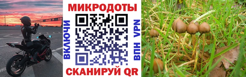 hydra как зайти  Советский  Псилоцибиновые грибы ЛСД 